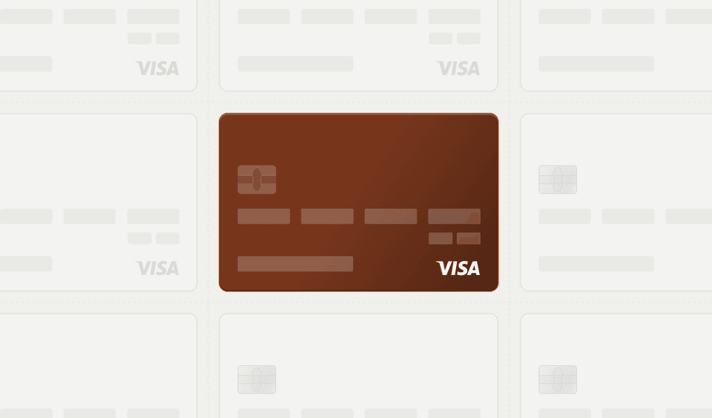 Visa VAMP blog post image 