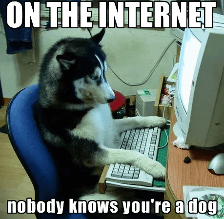 A husky sitting at a computer keyboard with the caption "On the internet nobody knows you're a dog"