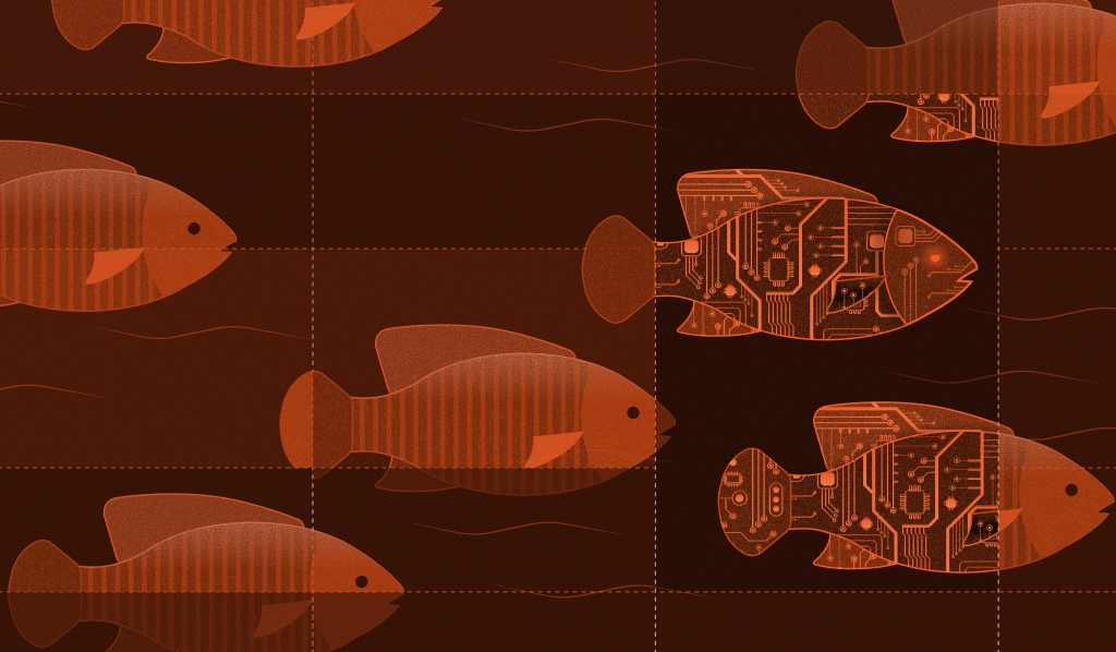 school of fish