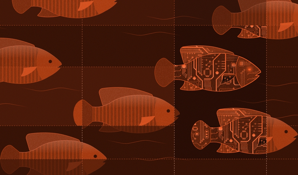 school of fish