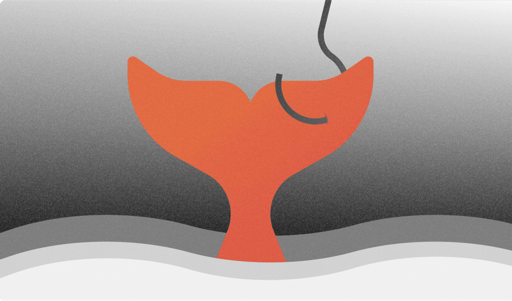 whale phishing image