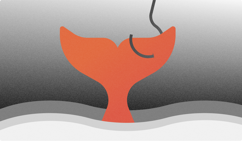 whale phishing image