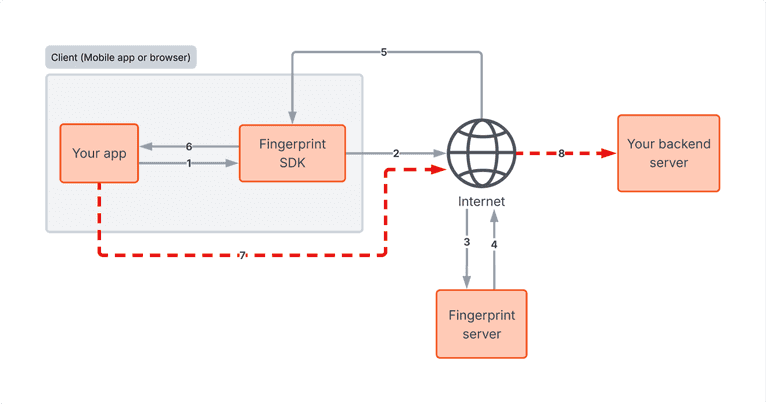 Architecture diagram with the arrows between the client and the backend server highlighted in red, indicating where attacks can occur.